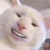 ditj.me.tiktok