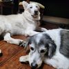 borksandbooze