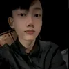 vietphan1501