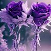 user1704881582473