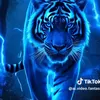 user77072025732456