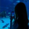 atlanticaquarium20