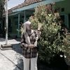 aii_fazifafaa