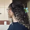 anninhataets