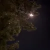 anhquadeptrai5