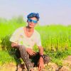 bijaydeewane