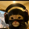 catgaming36