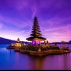 fery4335
