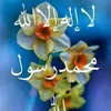 islamic.mohamed6