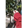 heba.hisham7