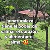 besede507236