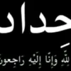 sh89bb4
