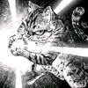 h0n0red_cat4