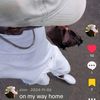 zionkings63