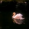 abbas.kbise