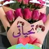 samia.gasmia