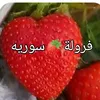 user32516391995406