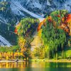 faridawwwb369