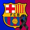 user5556295045716