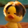pooziwoozi