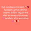 ainmna2379