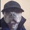 louo_0