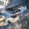 bulfa_cura