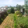 bikhoa09