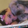 jd_doll