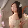 nguyn.bng.nh