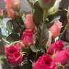 fiana_363