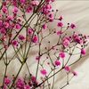 bushra.alearaj3