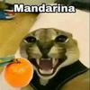 mandarina_bjj