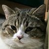 catcamping84