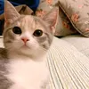 rianggiie