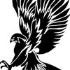 black.hawk86