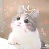 mhdeyou5