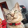 blekidanjerry