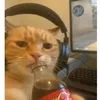 csalmon92