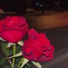 om_rayan62