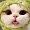 hoangtu_rong