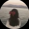 xx_pp1