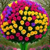 user5834201266748