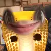 eeeeeeeeee._36