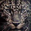 saeedssyy0dr