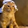 zzakky_al