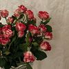 raw_024