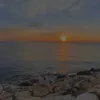 nguynthi9322