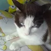 rosa.soraya.mujic