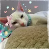toca_cute41
